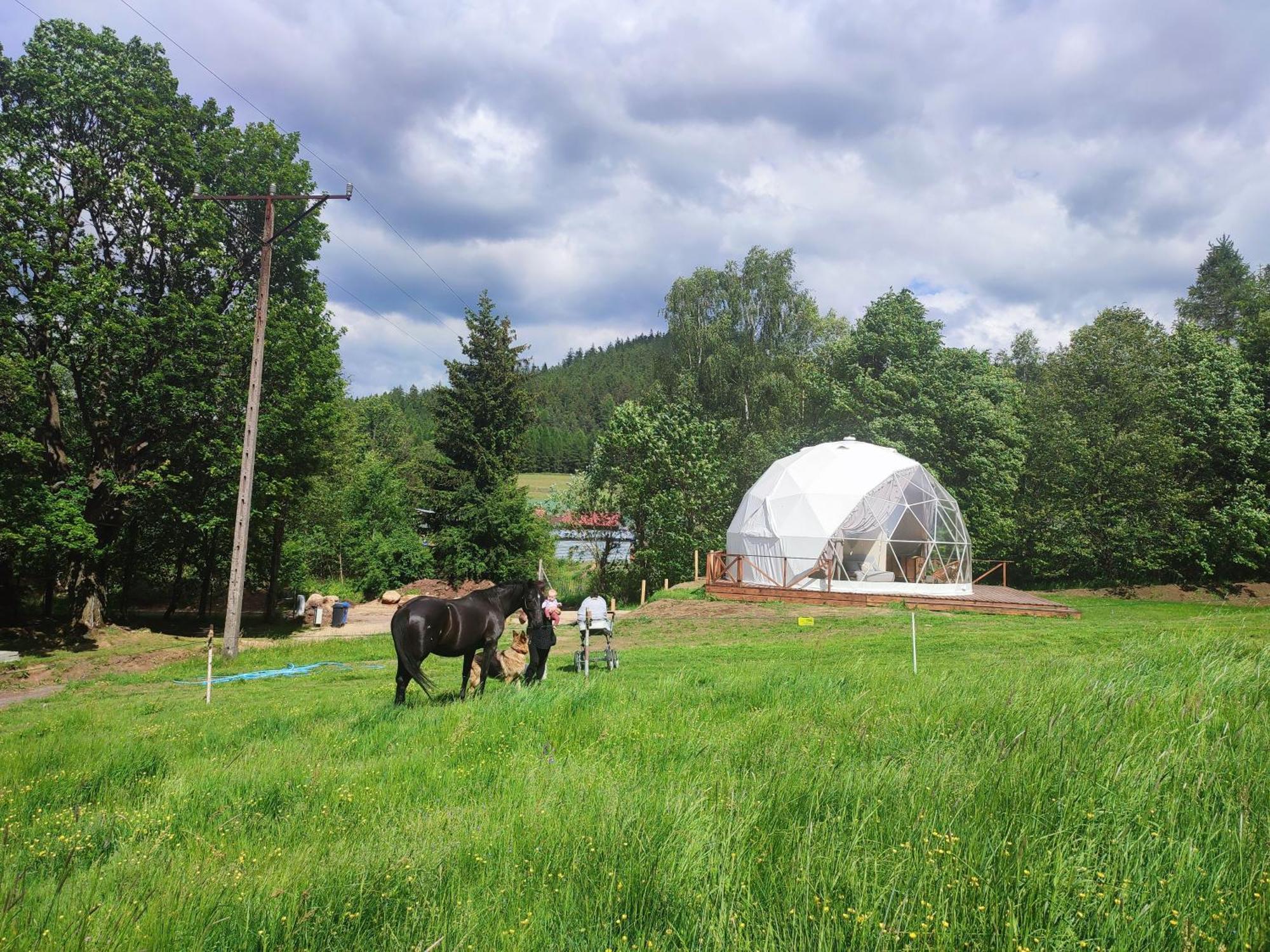 Forrest Glamp Hotel Mieroszow Bagian luar foto