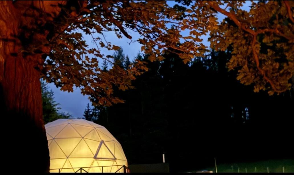 Forrest Glamp Hotel Mieroszow Bagian luar foto