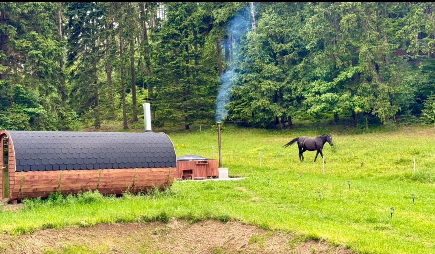 Forrest Glamp Hotel Mieroszow Bagian luar foto