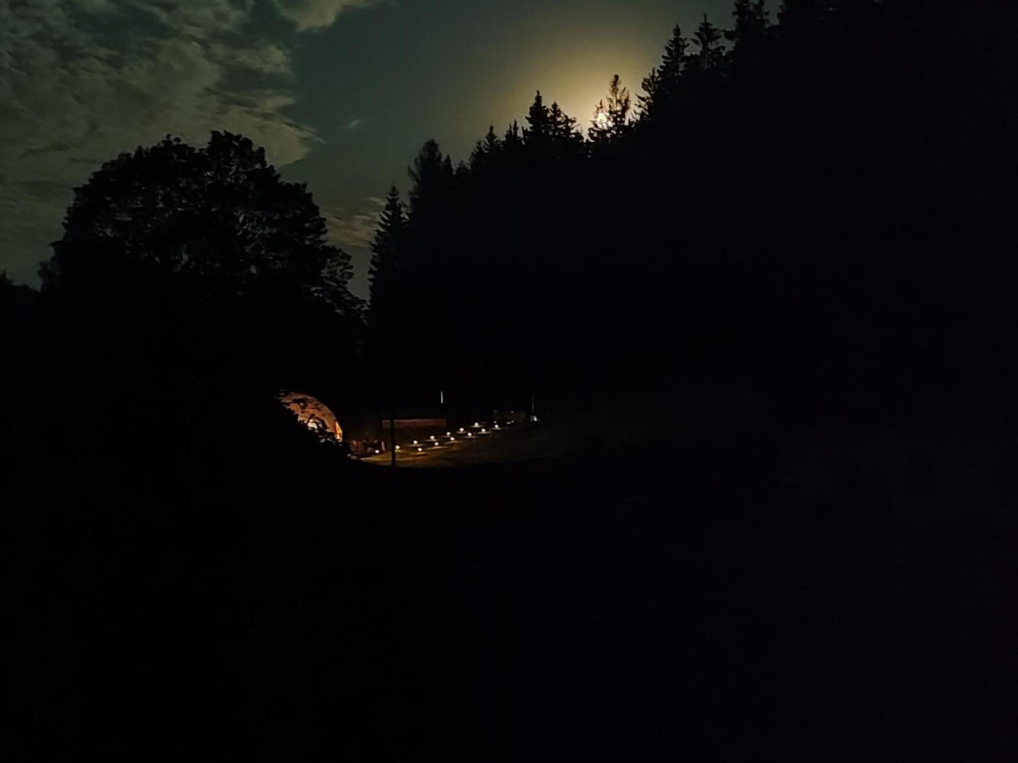 Forrest Glamp Hotel Mieroszow Bagian luar foto