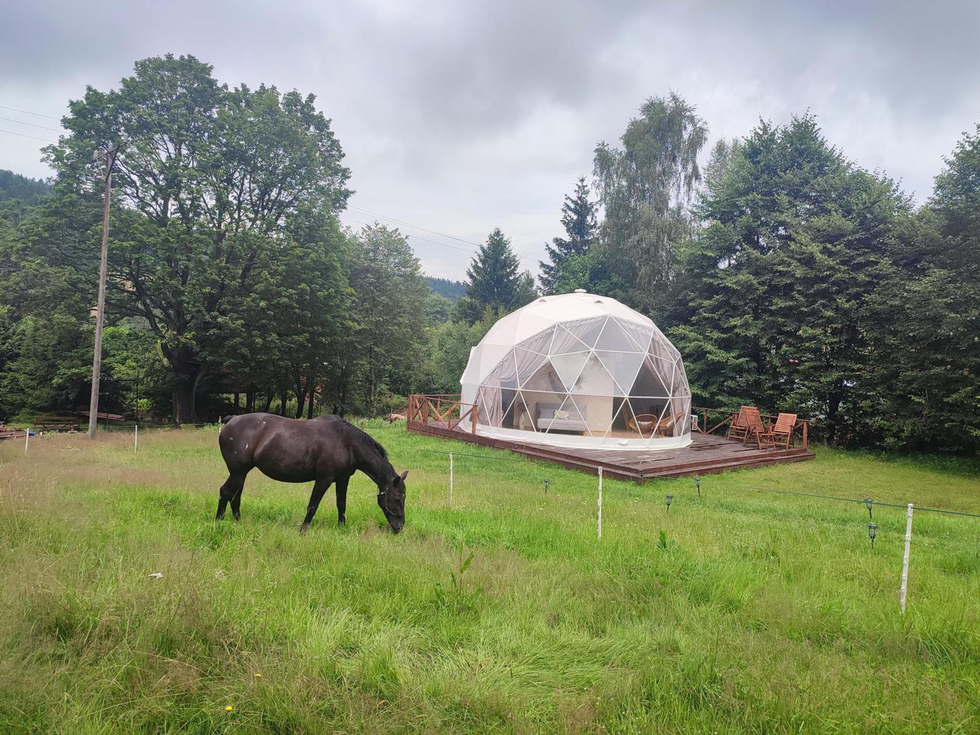 Forrest Glamp Hotel Mieroszow Bagian luar foto